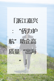 浙江嘉兴：“侨力护航”助企高质量“出海”