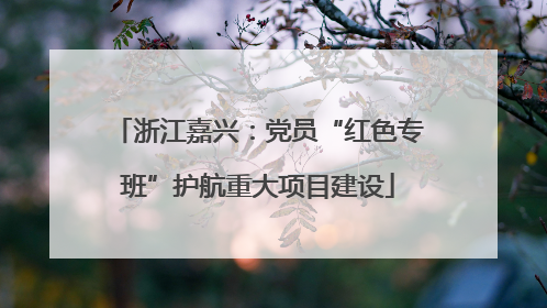 浙江嘉兴：党员“红色专班”护航重大项目建设
