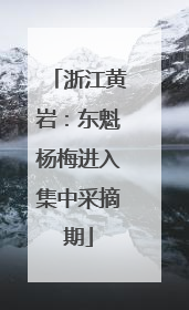 浙江黄岩：东魁杨梅进入集中采摘期