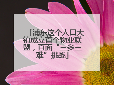 浦东这个人口大镇成立首个物业联盟，直面“三多三难”挑战