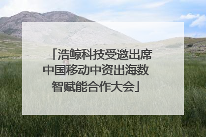浩鲸科技受邀出席中国移动中资出海数智赋能合作大会