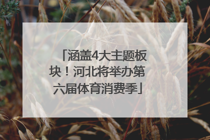 涵盖4大主题板块！河北将举办第六届体育消费季
