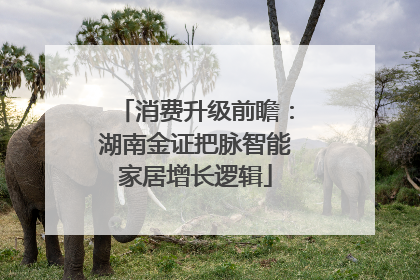 消费升级前瞻：湖南金证把脉智能家居增长逻辑