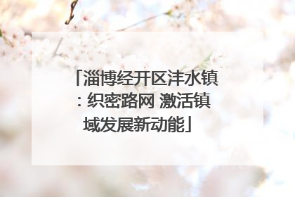 淄博经开区沣水镇：织密路网 激活镇域发展新动能