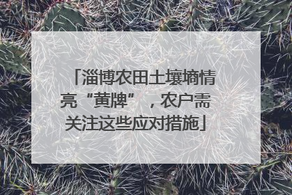 淄博农田土壤墒情亮“黄牌”，农户需关注这些应对措施