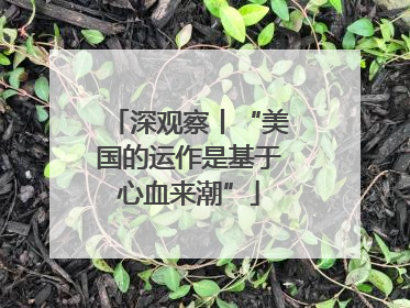 深观察丨“美国的运作是基于心血来潮”
