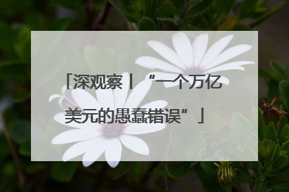深观察丨“一个万亿美元的愚蠢错误”