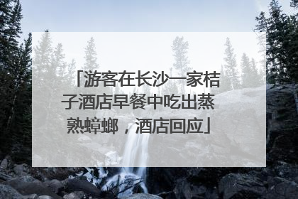 游客在长沙一家桔子酒店早餐中吃出蒸熟蟑螂，酒店回应