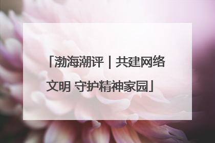 渤海潮评｜共建网络文明 守护精神家园