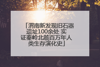 渭南新发现旧石器遗址100余处 实证秦岭北麓百万年人类生存演化史