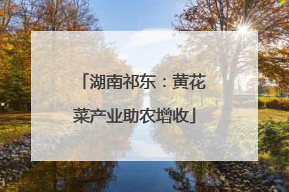 湖南祁东：黄花菜产业助农增收