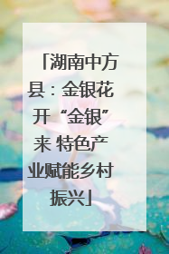 湖南中方县：金银花开“金银”来 特色产业赋能乡村振兴