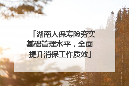 湖南人保寿险夯实基础管理水平，全面提升消保工作质效