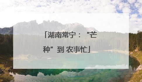 湖南常宁：“芒种”到 农事忙