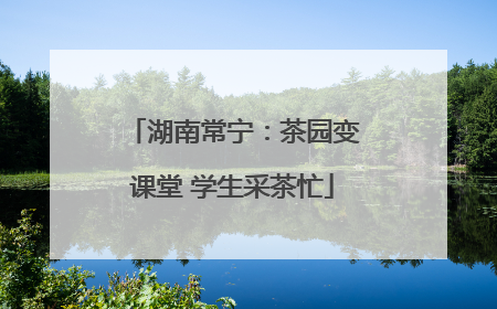 湖南常宁：茶园变课堂 学生采茶忙