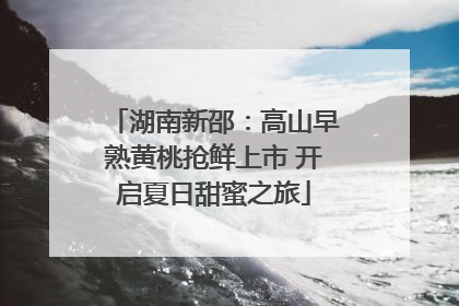 湖南新邵：高山早熟黄桃抢鲜上市 开启夏日甜蜜之旅