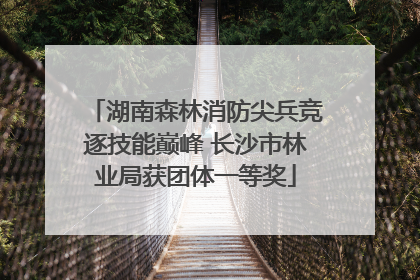 湖南森林消防尖兵竞逐技能巅峰 长沙市林业局获团体一等奖