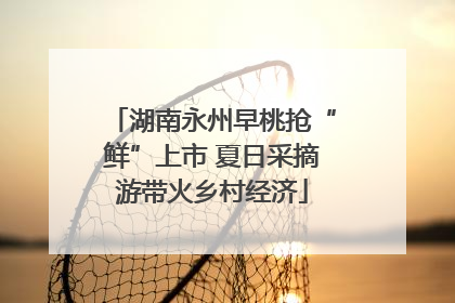 湖南永州早桃抢“鲜”上市 夏日采摘游带火乡村经济
