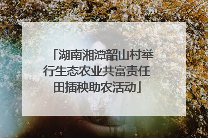 湖南湘潭韶山村举行生态农业共富责任田插秧助农活动