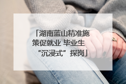 湖南蓝山精准施策促就业 毕业生“沉浸式”探岗