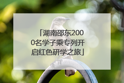 湖南邵东2000名学子乘专列开启红色研学之旅