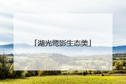 湖光鹭影生态美