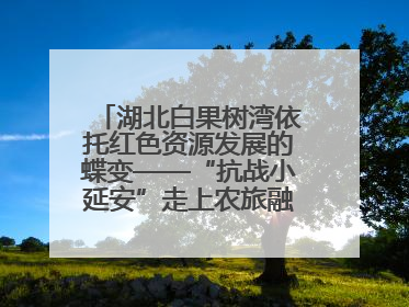 湖北白果树湾依托红色资源发展的蝶变——“抗战小延安”走上农旅融合振兴路