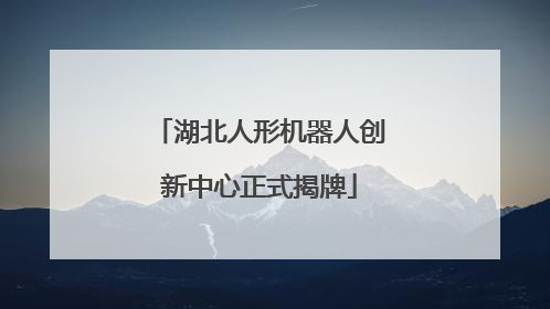 湖北人形机器人创新中心正式揭牌