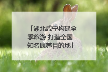 湖北咸宁构建全季旅游 打造全国知名康养目的地