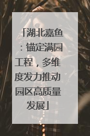湖北嘉鱼：锚定满园工程，多维度发力推动园区高质量发展