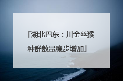 湖北巴东：川金丝猴种群数量稳步增加