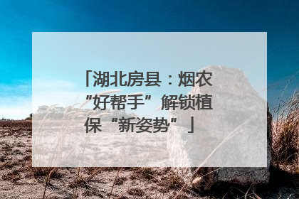 湖北房县：烟农“好帮手”解锁植保“新姿势”