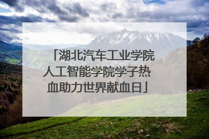湖北汽车工业学院人工智能学院学子热血助力世界献血日