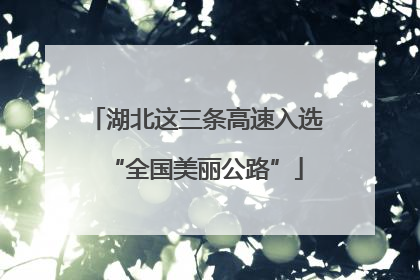 湖北这三条高速入选“全国美丽公路”