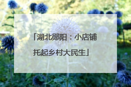 湖北郧阳：小店铺托起乡村大民生