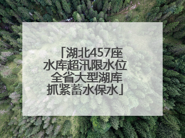 湖北457座水库超汛限水位 全省大型湖库抓紧蓄水保水