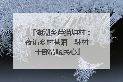湖潮乡芦猫塘村：夜访乡村巷陌，驻村干部情暖民心