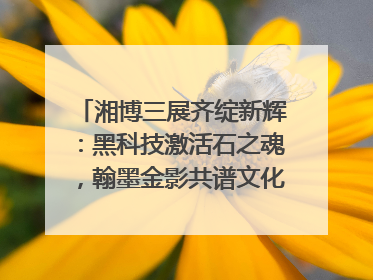 湘博三展齐绽新辉：黑科技激活石之魂，翰墨金影共谱文化遗产日华章