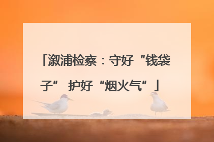 溆浦检察：守好“钱袋子” 护好“烟火气”