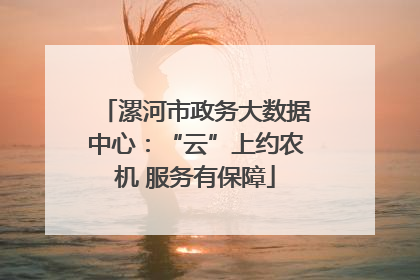 漯河市政务大数据中心：“云”上约农机 服务有保障