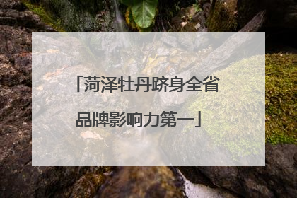 菏泽牡丹跻身全省品牌影响力第一