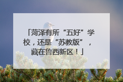 菏泽有所“五好”学校，还是“苏教版”，藏在鲁西新区！