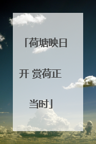 荷塘映日开 赏荷正当时