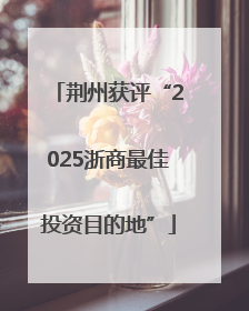 荆州获评“2025浙商最佳投资目的地”