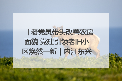 老党员带头改善农房面貌 党建引领老旧小区焕然一新｜内江东兴“红”在哪？④