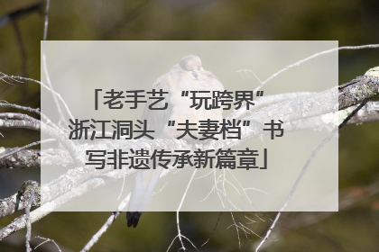老手艺“玩跨界” 浙江洞头“夫妻档”书写非遗传承新篇章