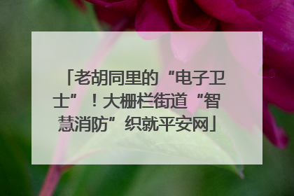 老胡同里的“电子卫士”！大栅栏街道“智慧消防”织就平安网