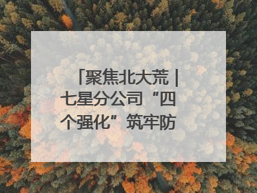 聚焦北大荒｜七星分公司“四个强化”筑牢防汛减灾屏障