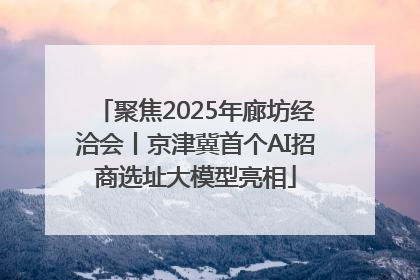聚焦2025年廊坊经洽会丨京津冀首个AI招商选址大模型亮相