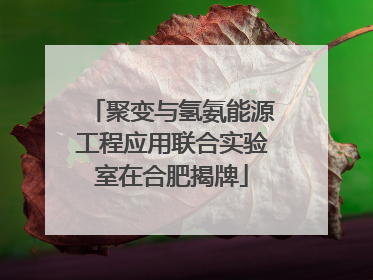 聚变与氢氨能源工程应用联合实验室在合肥揭牌